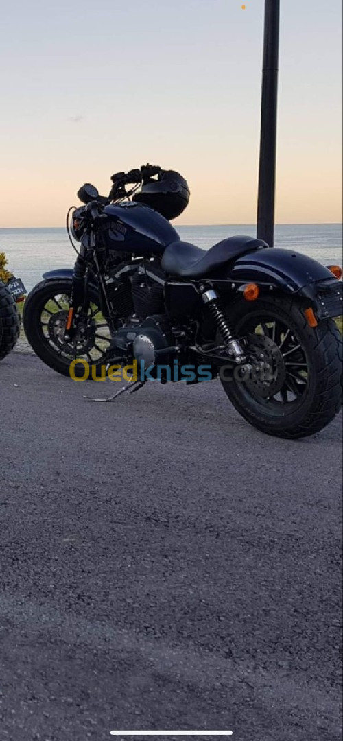 harley davidson 883 2015