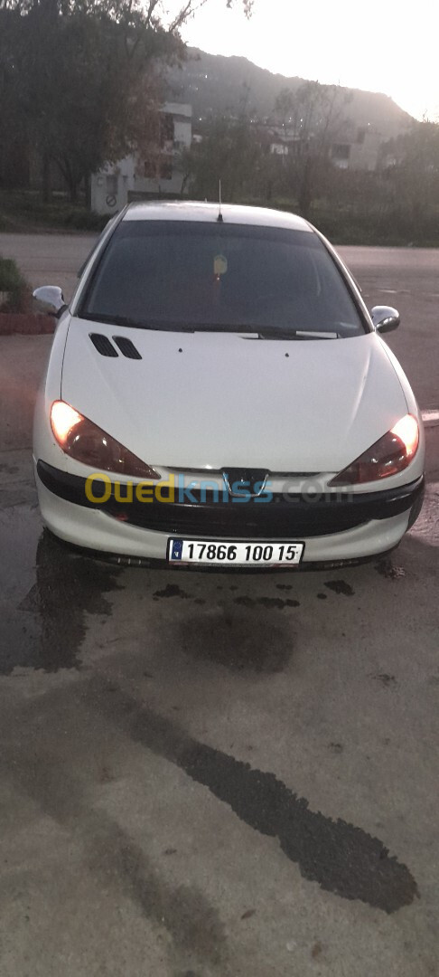 Peugeot 206 2000 206