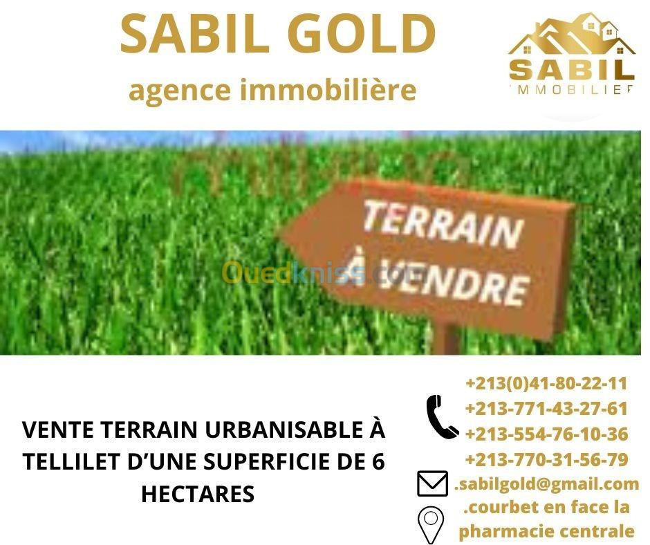 Vente Terrain Oran Oued tlelat