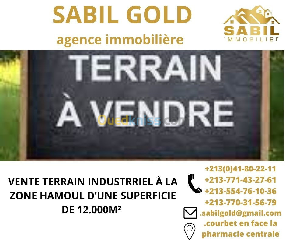 Vente Terrain Oran Oued tlelat