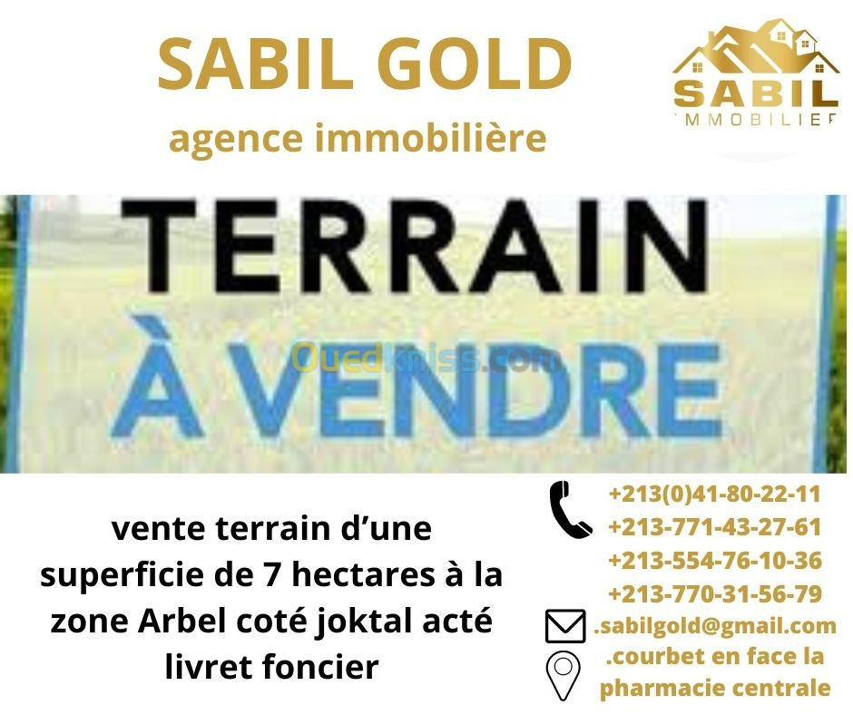 Vente Terrain Oran Oued tlelat