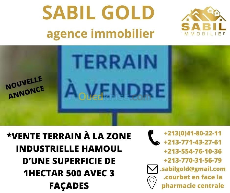 Vente Terrain Oran Oued tlelat