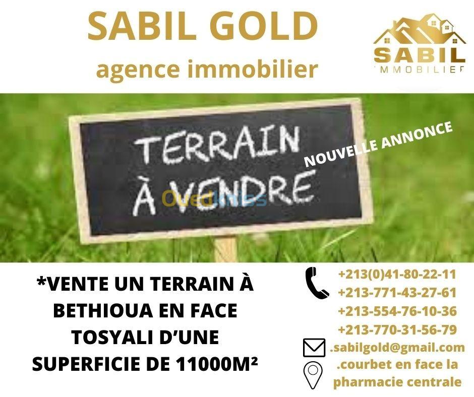 Vente Terrain Oran Bethioua