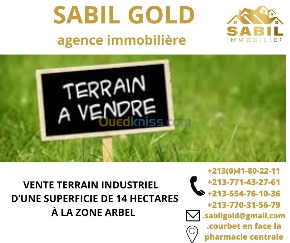 Vente Terrain Oran Oued tlelat