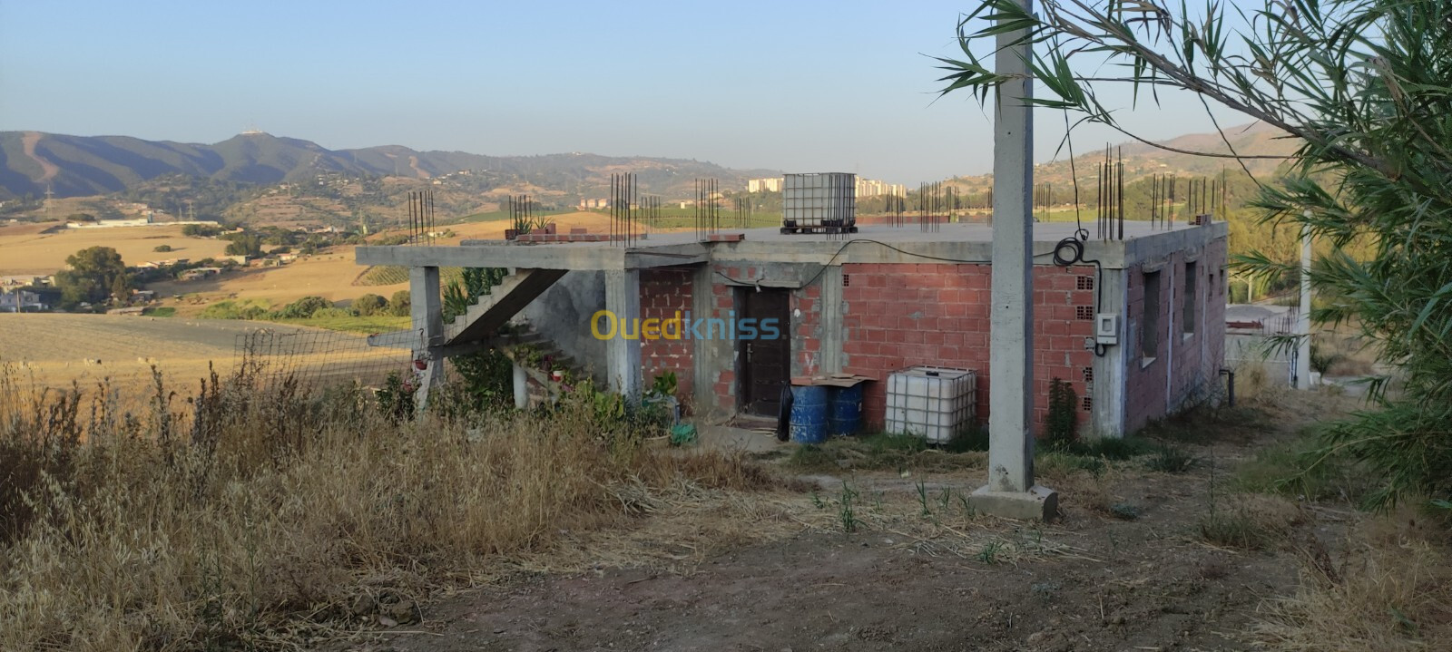 Vente Carcasse Boumerdès Tidjelabine