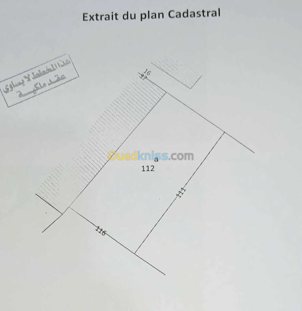 Vente Carcasse Tipaza Hadjout