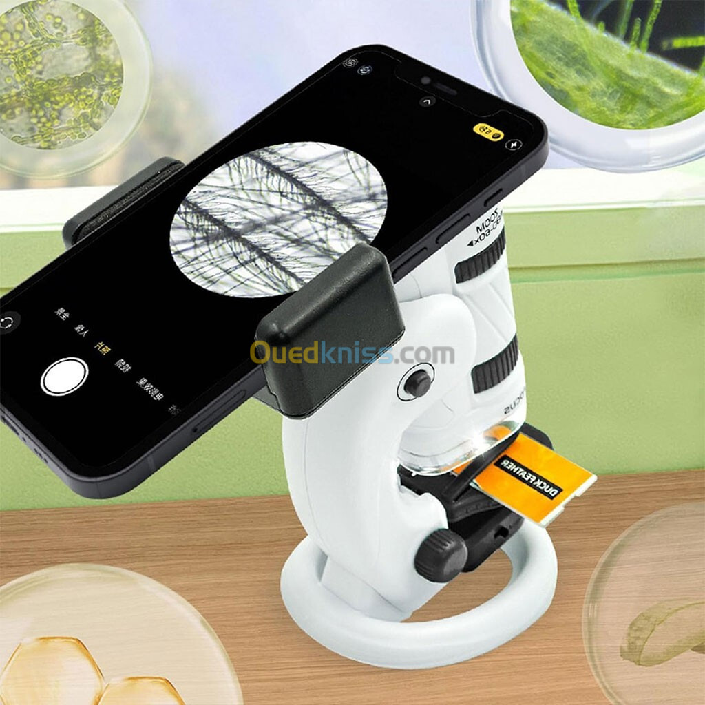 Kit de microscope pour enfants, 60X-180X avec support amovible LED double lumière