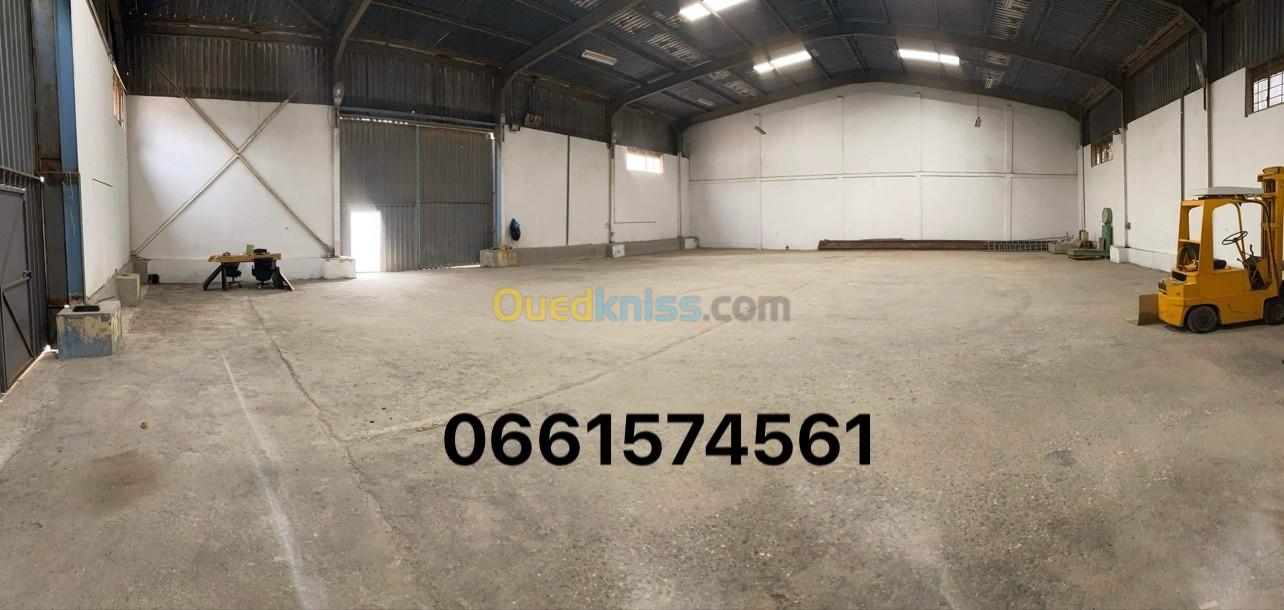 Location Hangar Alger Oued smar