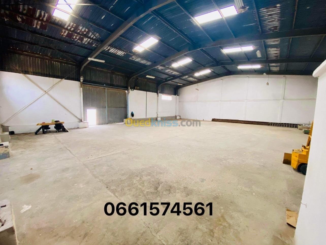 Location Hangar Alger Oued smar