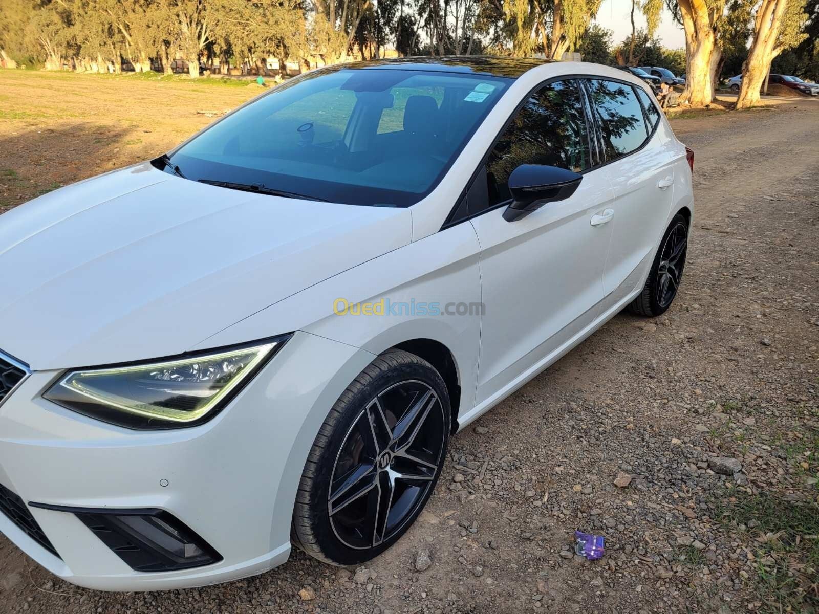 Seat Ibiza 2019 FR