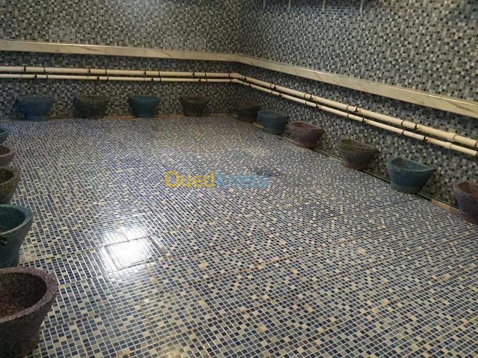 Vente Aïn Témouchent Hammam bouhadjar