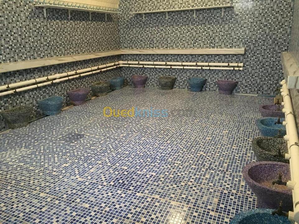 Vente Aïn Témouchent Hammam bouhadjar