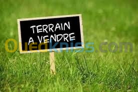 Vente Terrain Alger Hydra