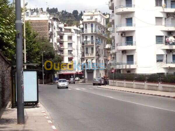 Vente Appartement Alger Alger centre