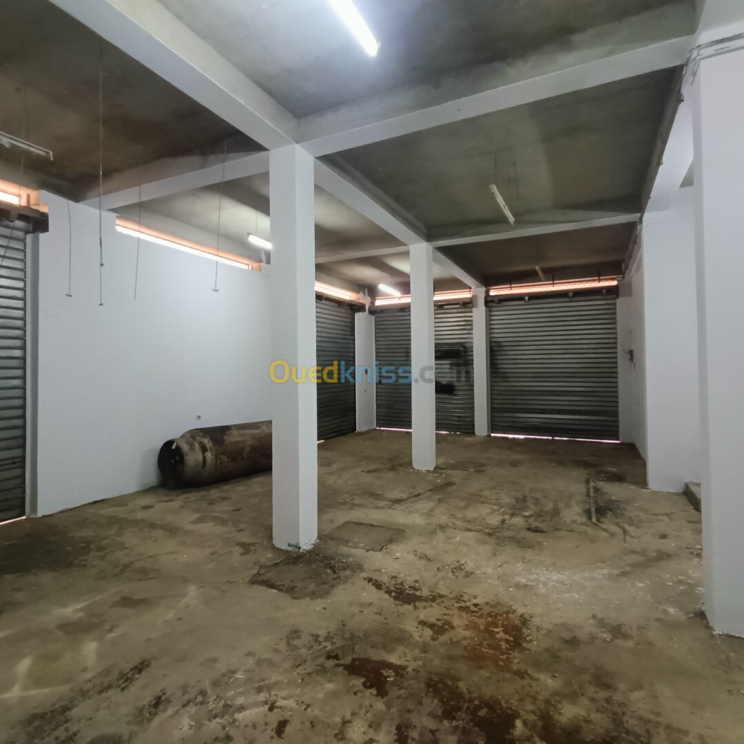 Location bien immobilier Sétif El eulma