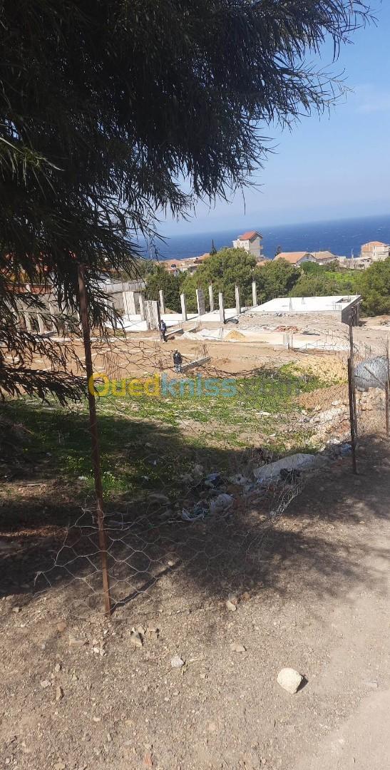 Vente Terrain Tipaza Larhat