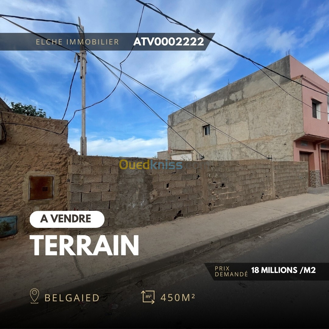 Vente Terrain Oran Bir el djir