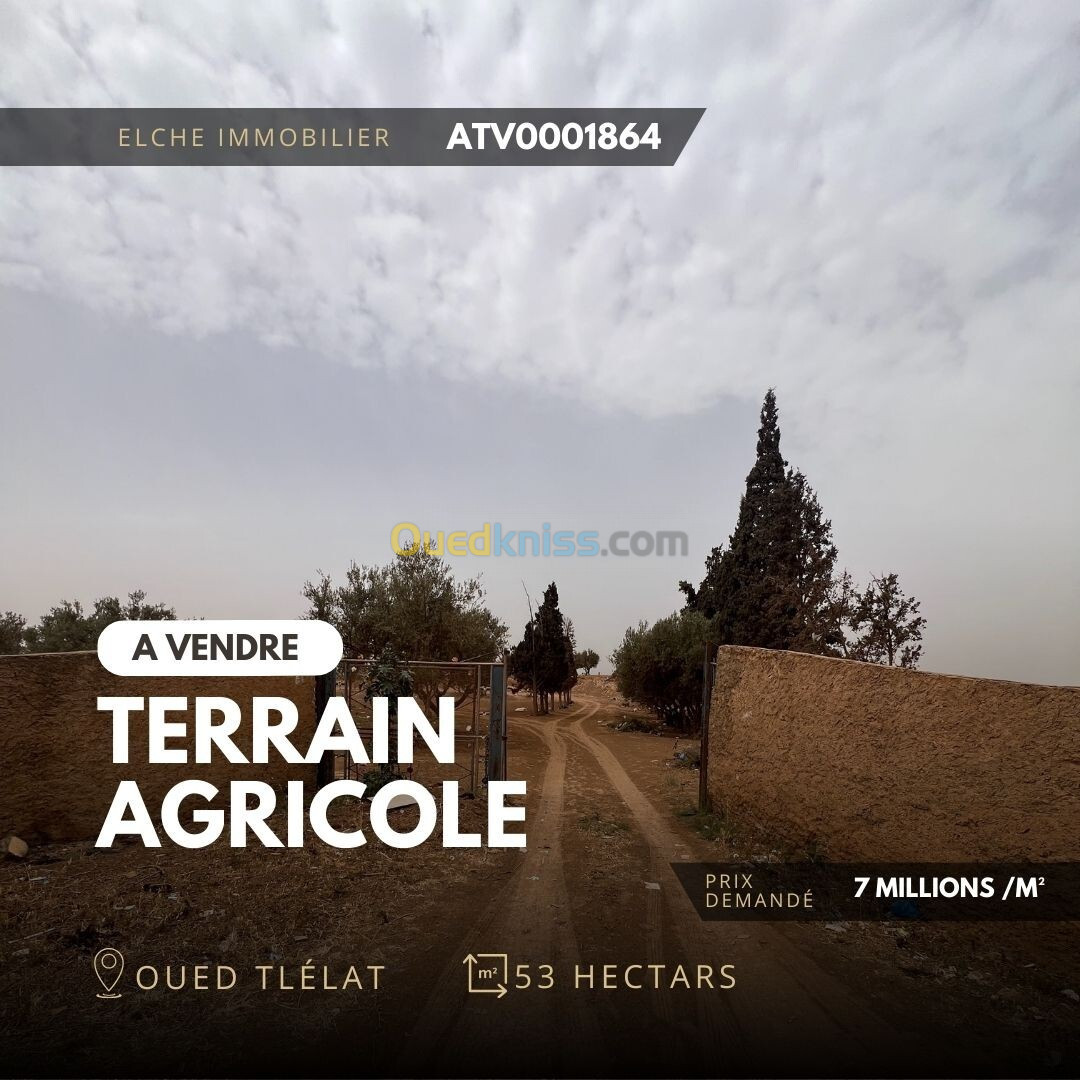 Vente Terrain Agricole Oran Oued tlelat