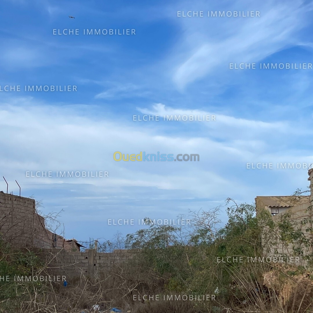 Vente Terrain Oran Bir el djir