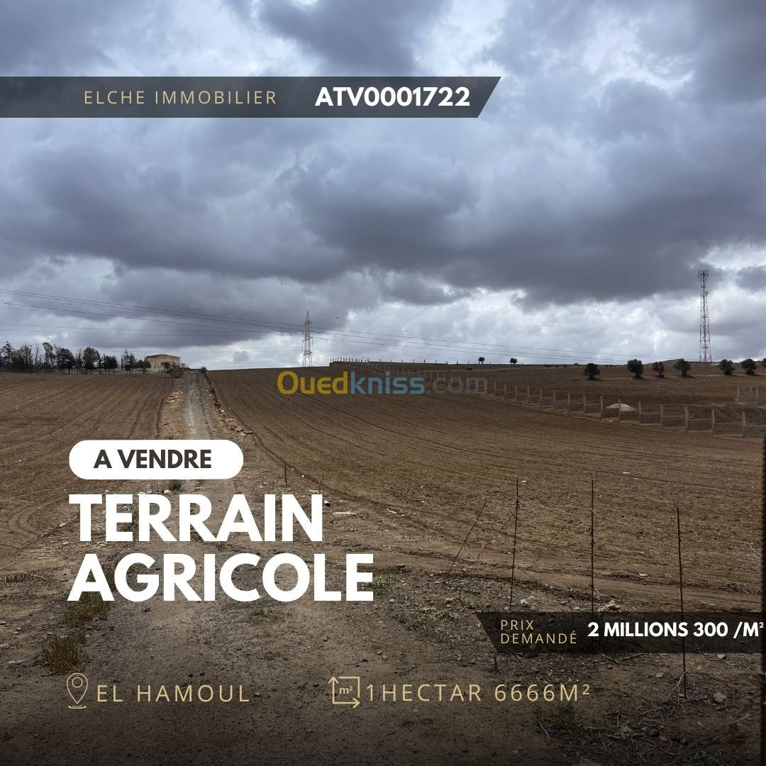 Vente Terrain Agricole Oran El Kerma