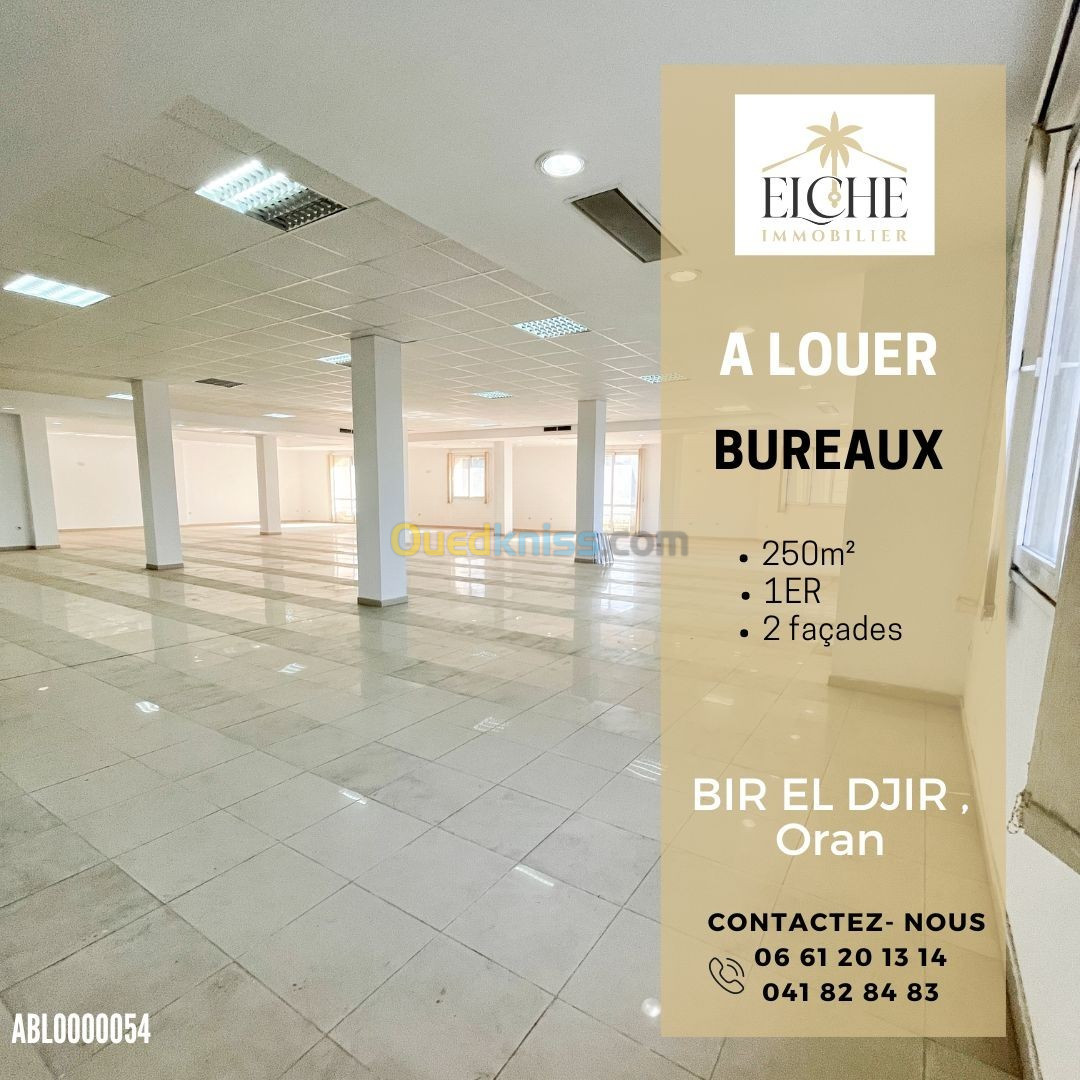 Location Local Oran Bir el djir