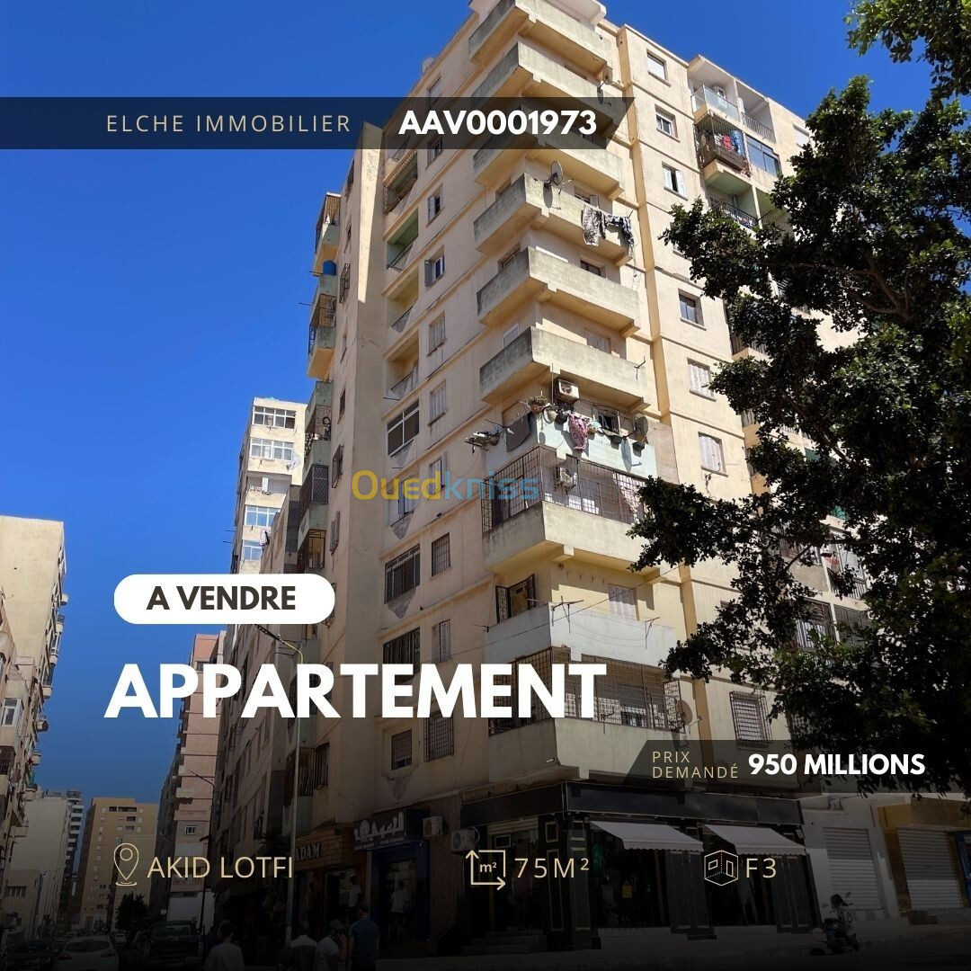 Vente Appartement F3 Oran Bir el djir