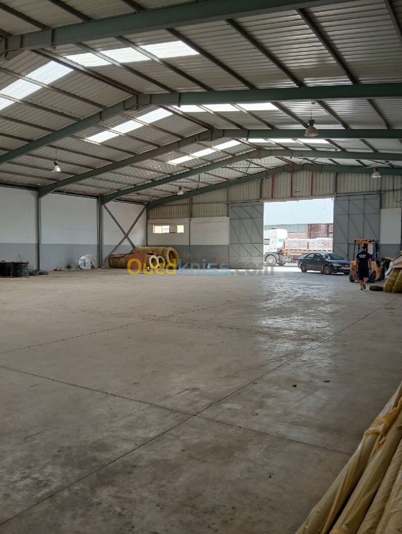 Location Hangar Oran El Kerma