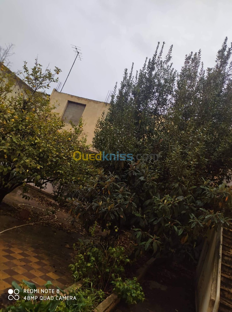 Vente Villa Sidi Bel Abbès Sidi bel abbes