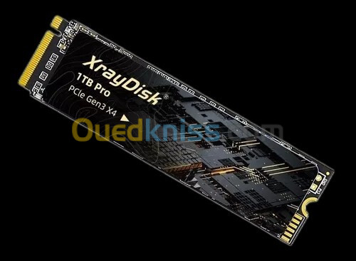 SSD NVME M.2 XRAYDISK PRO 1TB 3200Mo/S