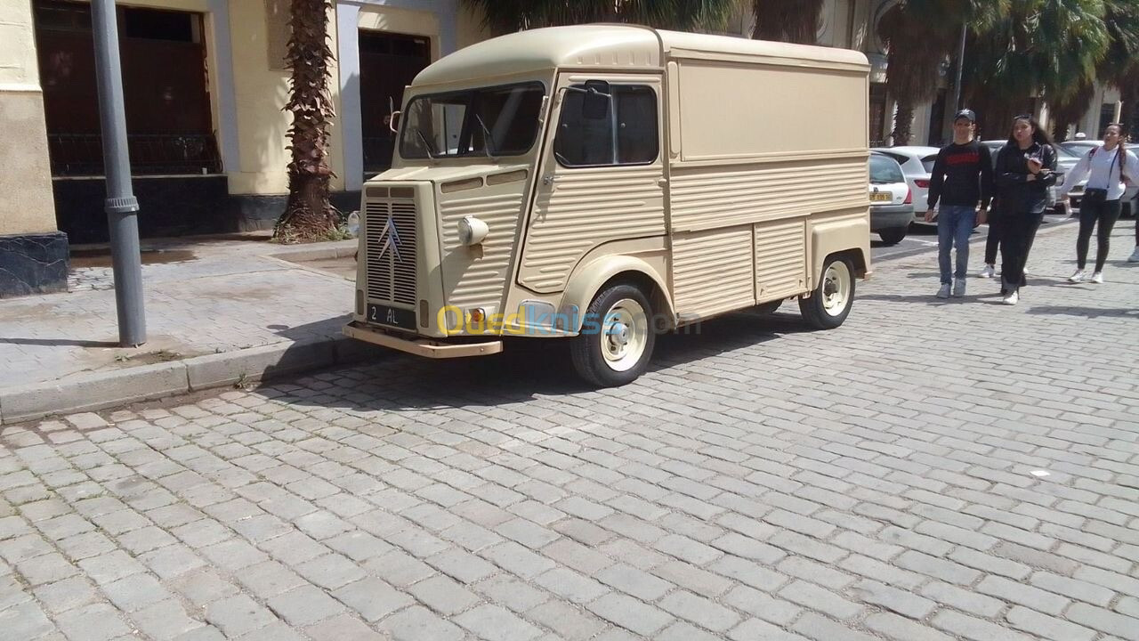 Citroen Citroen type h 1973