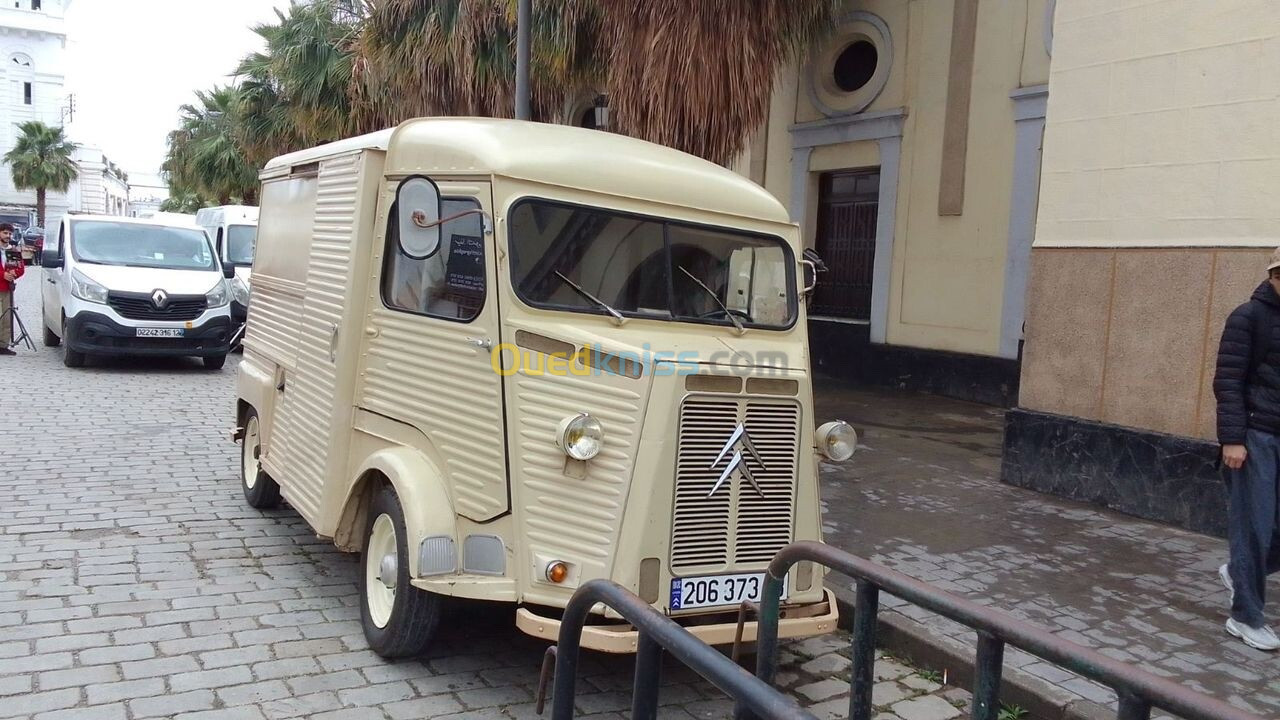 Citroen Citroen type h 1973