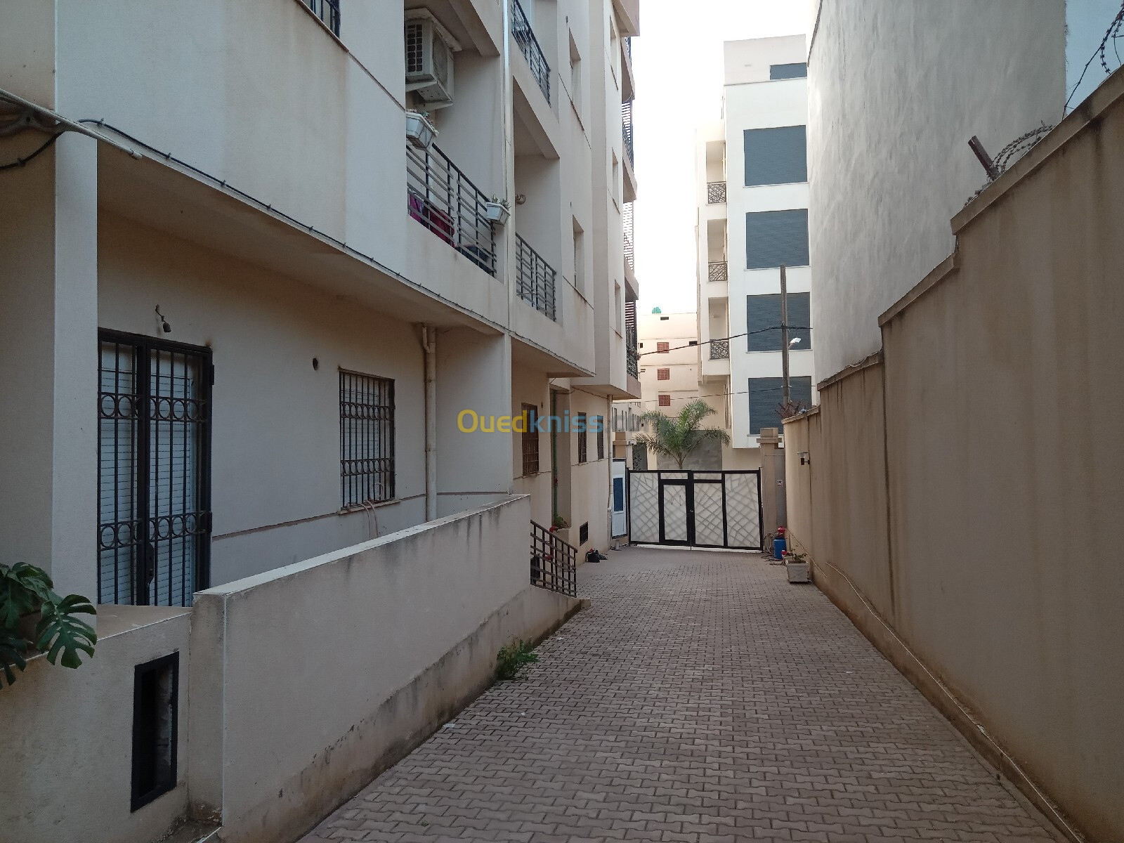 Vente Appartement F3 Alger Draria