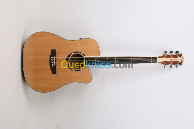 guitare armonias elctro aquoustique