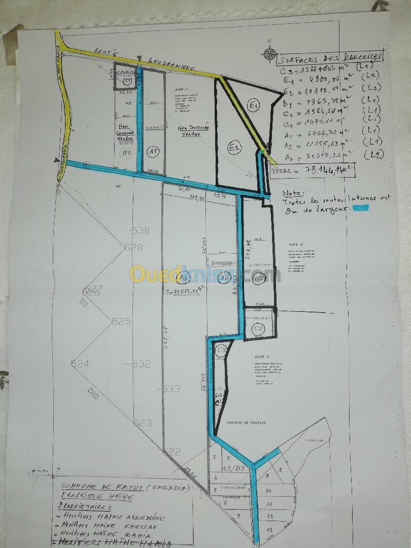 Vente Terrain Jijel Kaous
