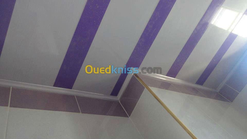 Menuiserie aluminium et plafond en pvc