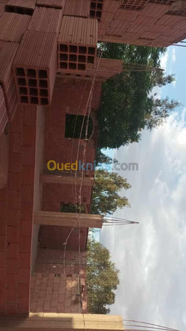 Vente Villa Djelfa Ain oussara