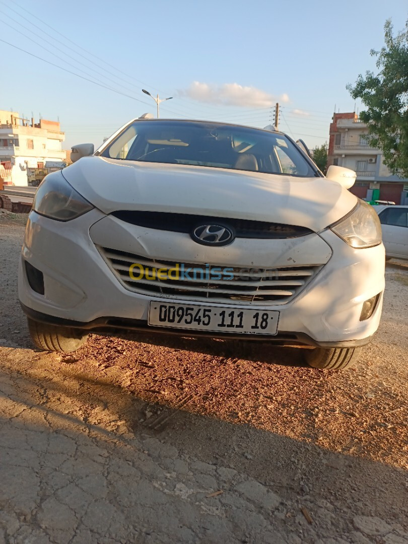 Hyundai Tucson 2011 Tucson