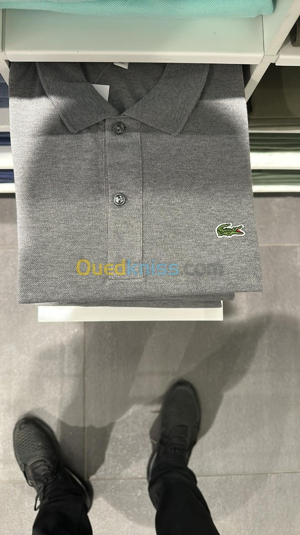 Polo Lacoste Original UK Collection 2023 