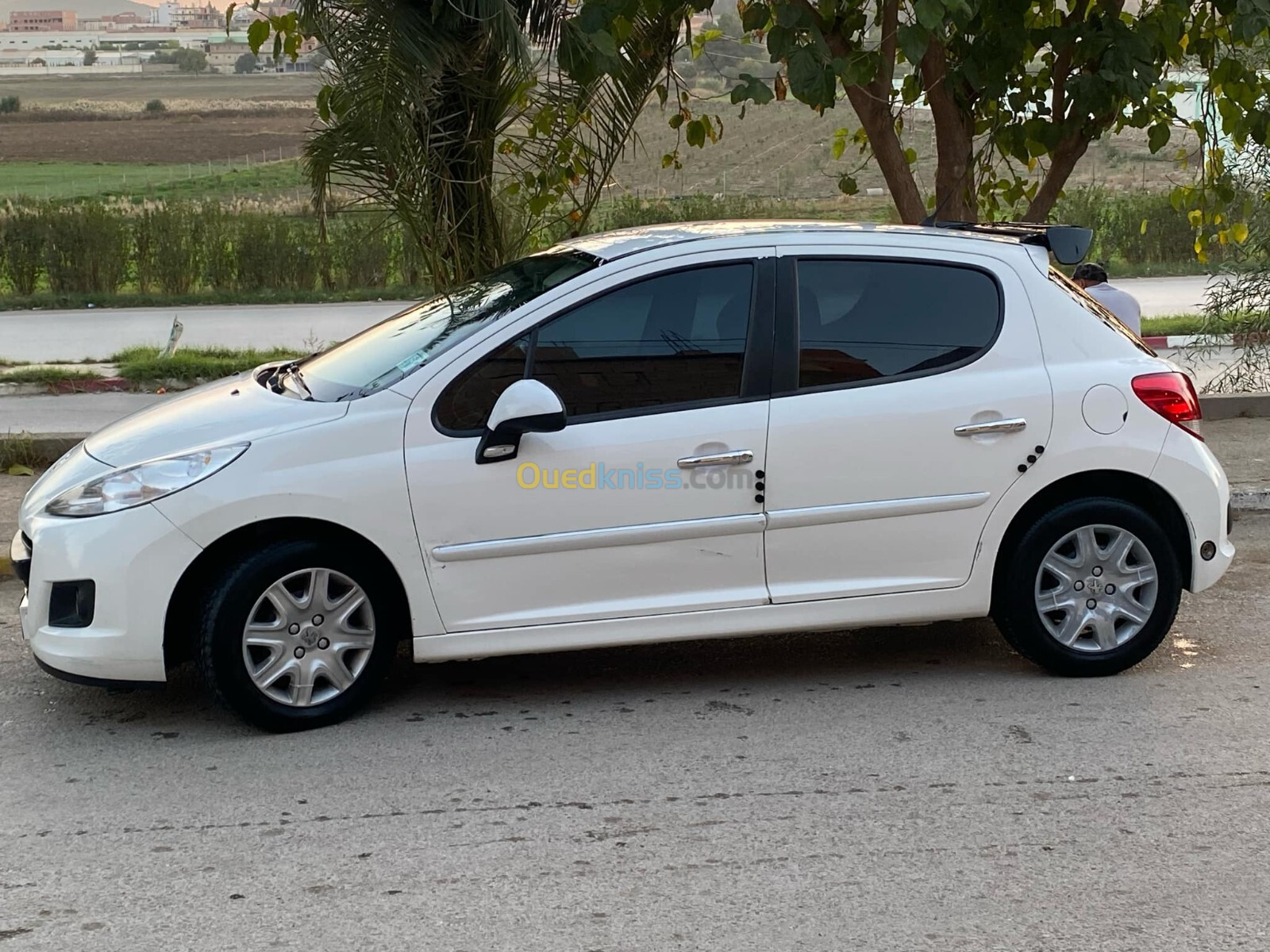 Peugeot 207 2012 Fennec