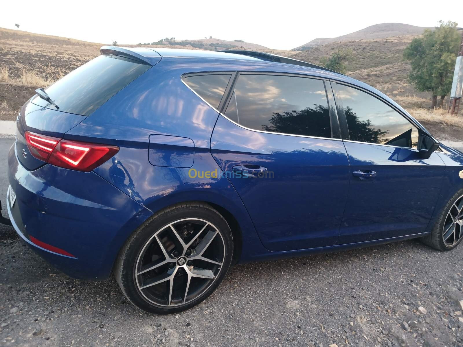 Seat Leon 2019 Bets