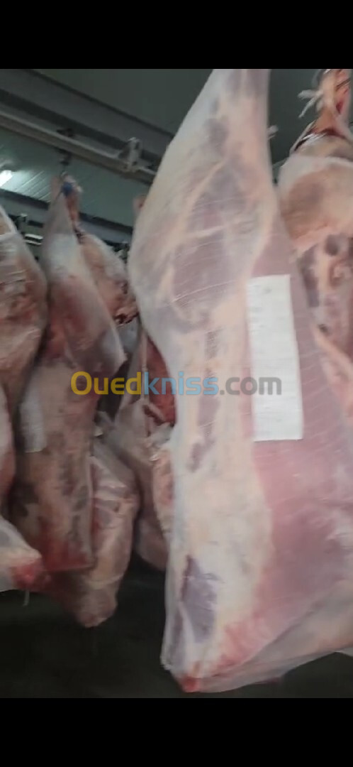 Vente de viande bovine importation 