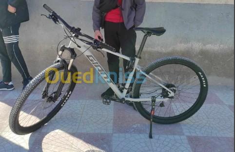 VELO--GIANT--29.5--سطيف