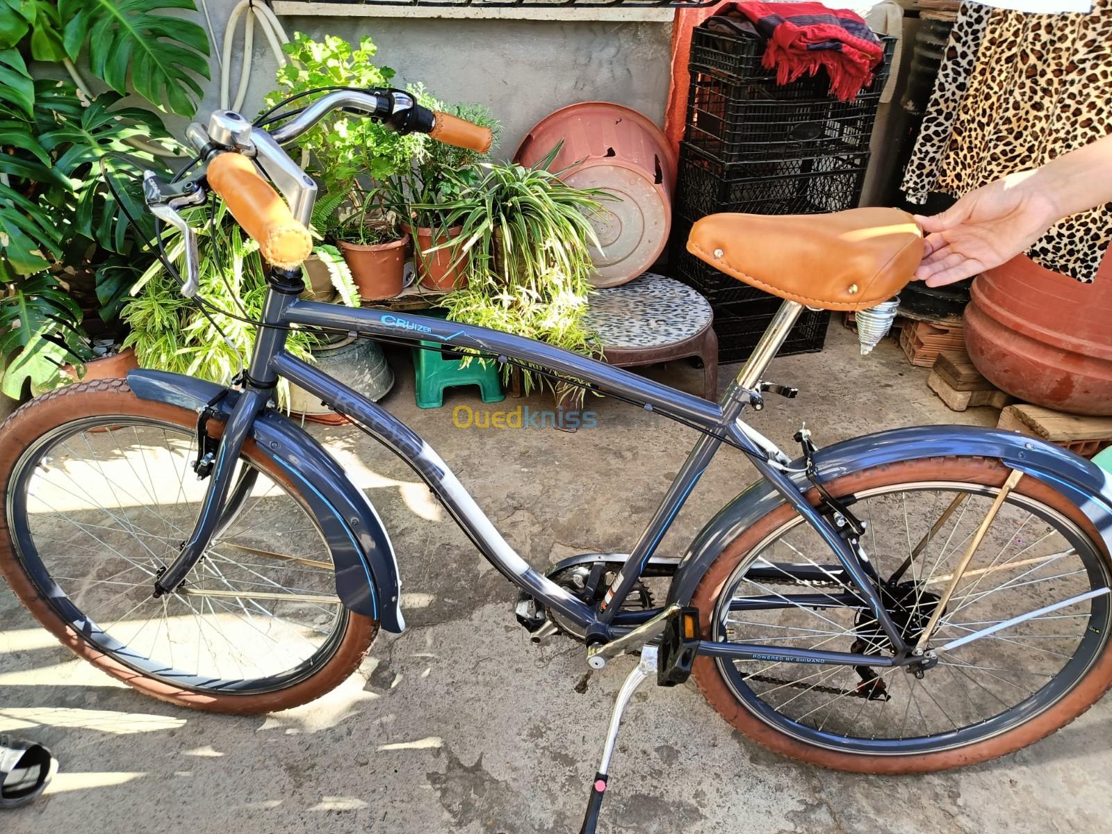 KS cycling Cruiser vintage 