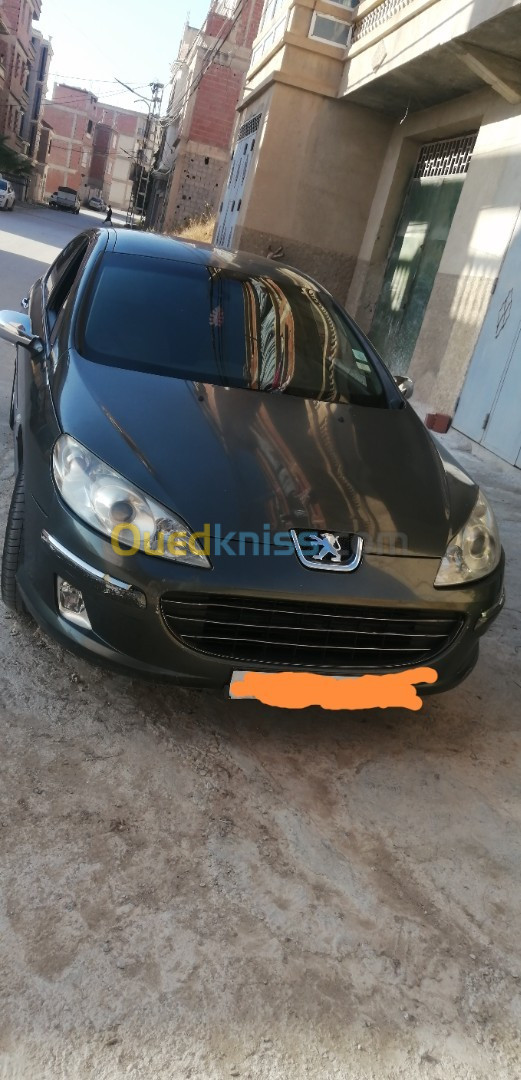 Peugeot 407 2007 407