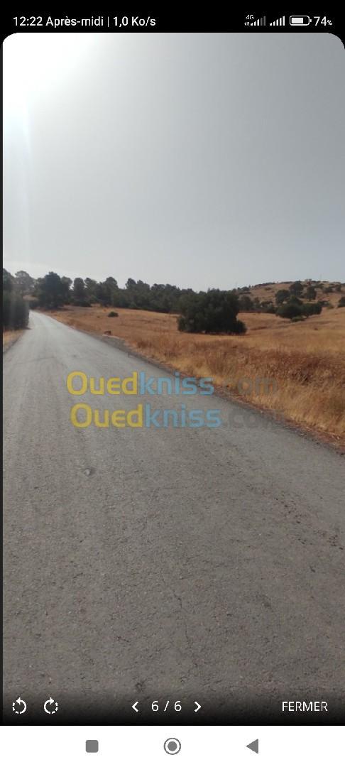 Vente Terrain Bouira Ahl el ksar