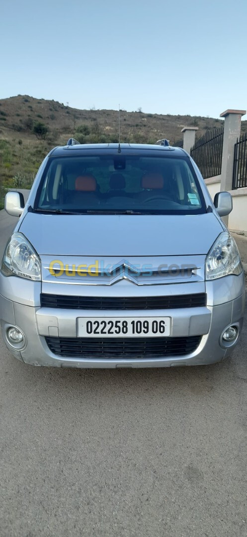 Citroen Berlingo 2009 Tolé niveau 2