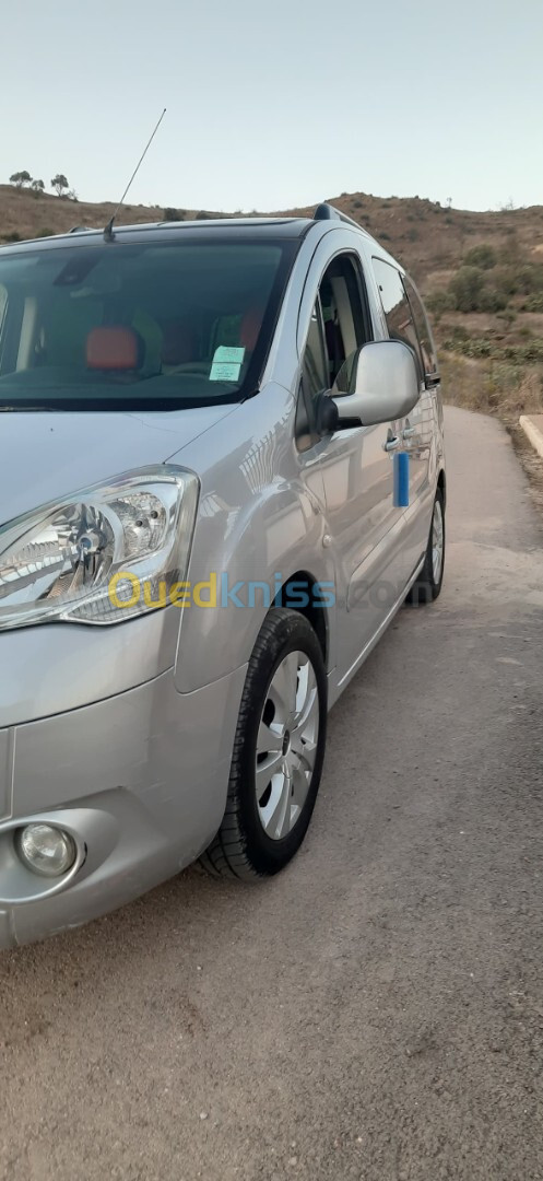 Citroen Berlingo 2009 Tolé niveau 2