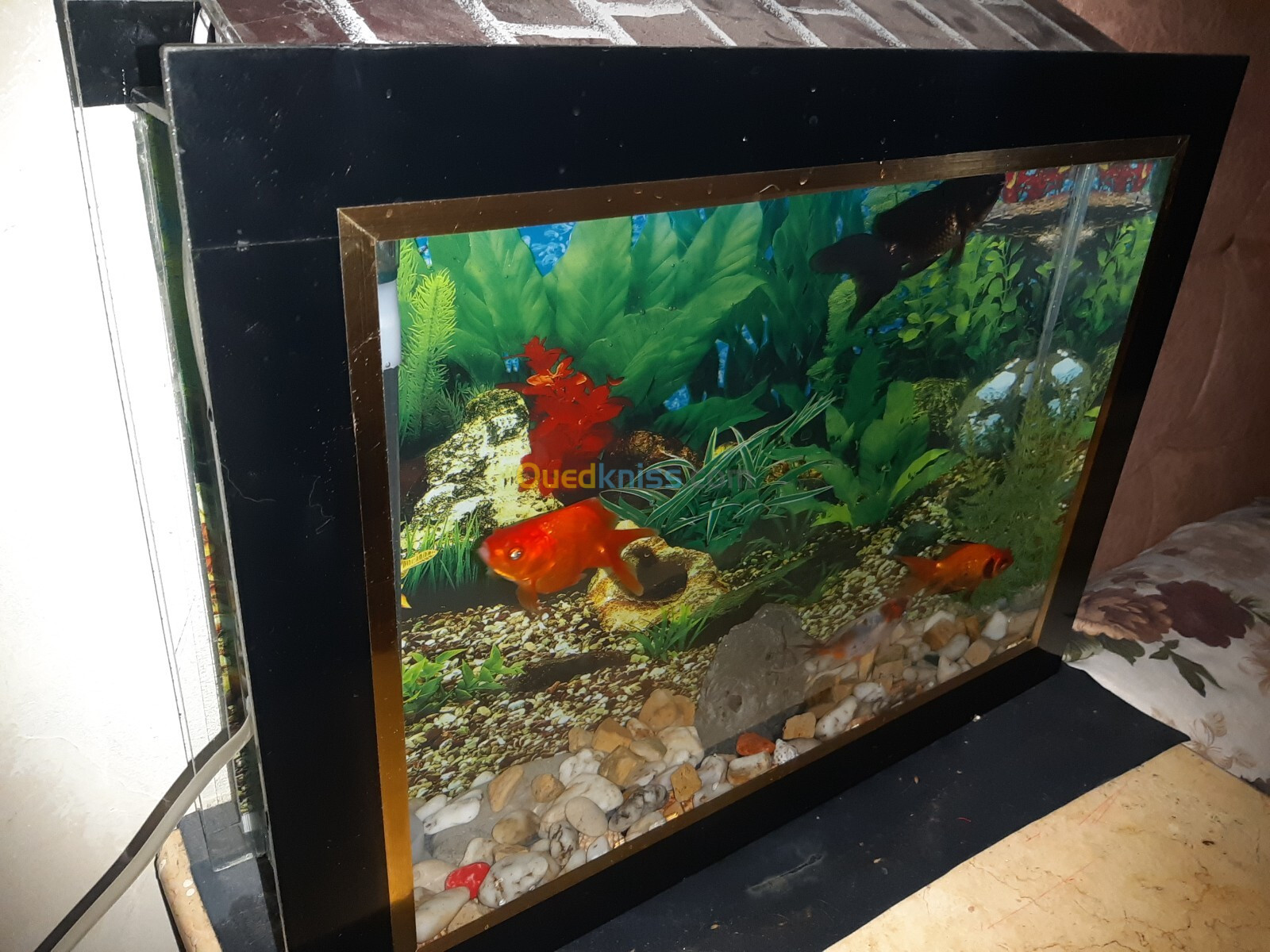 Aquarium plasma avec Poissons et accessoires complet 