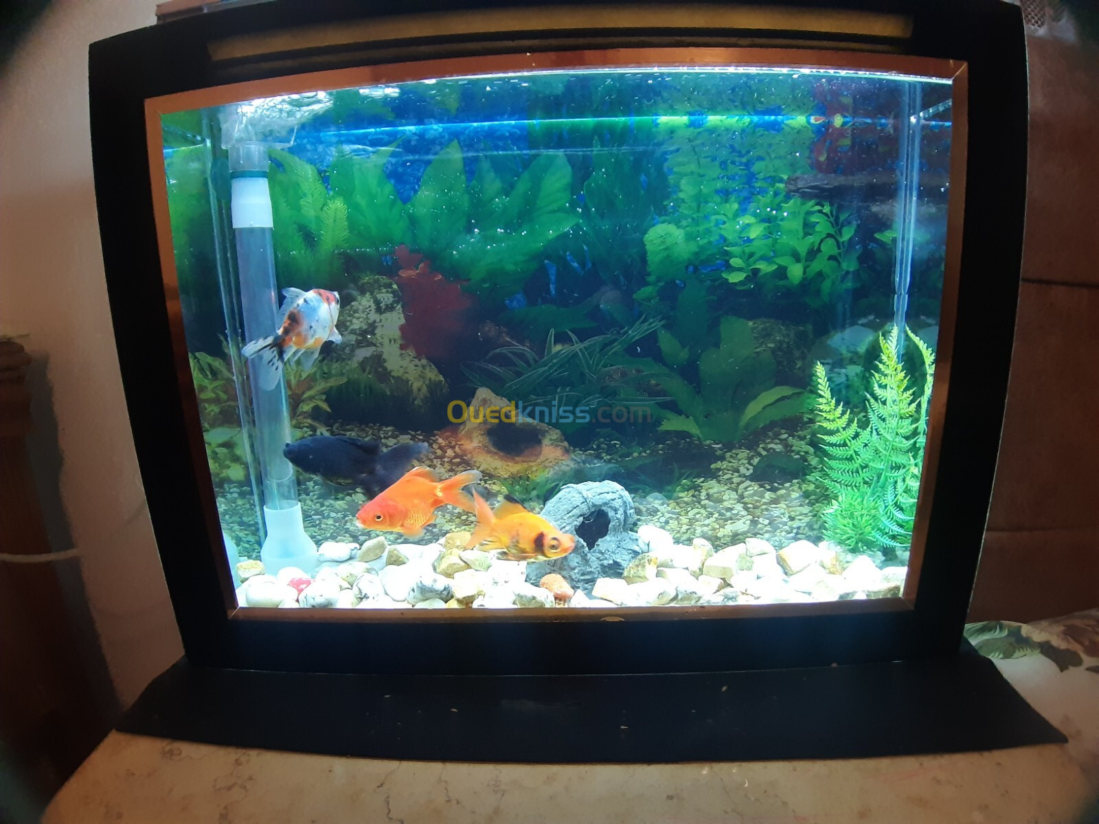 Aquarium plasma 52cm avec Poissons et accessoires complet 