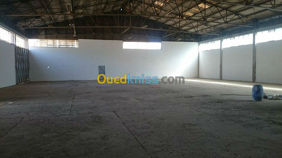 Location Hangar Sidi bel abbes Sidi bel abbes